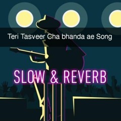 Teri Tasveer Cha Bahnda Slow & Reverb Song 2022 _ Zakir Ali Sheikh New Song 2022.mp3