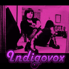 Indigovox - Photographs