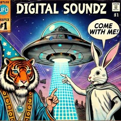 DIGITAL SOUNDZ