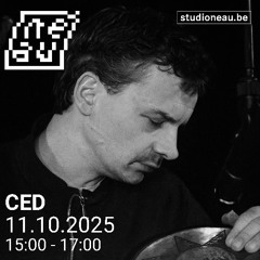 CED — Bazar Bizar #39 "E.g ObliQue gRAPh" Special