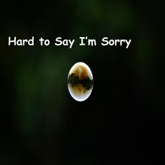 Hard to Say I’m Sorry