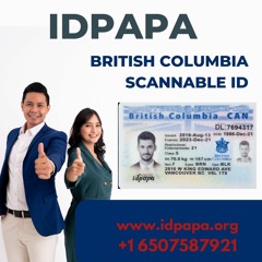 Unveiling Authenticity Experience With The Best British Columbia Scannable ID From IDPAPA!