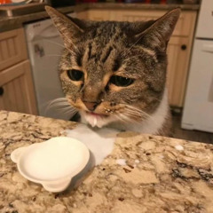 Yayo - Lana Del Rey Cover