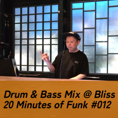 20 Minutes Of Funk #012 / Spotlight on "REMIX"