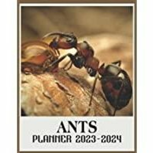 Stream (PDF)(Read Ants 2023 2024 Monthly Planner Calendar Ants 2023