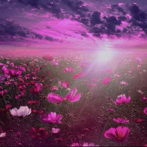 Lovę Pèdal ft twotwinpistols (prodJKJ)