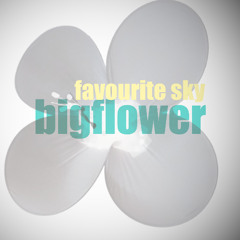 bigflower - favourite sky