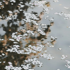 Petals