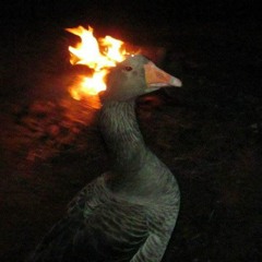 Arctic Monkeys - Crying Lightning (cover)