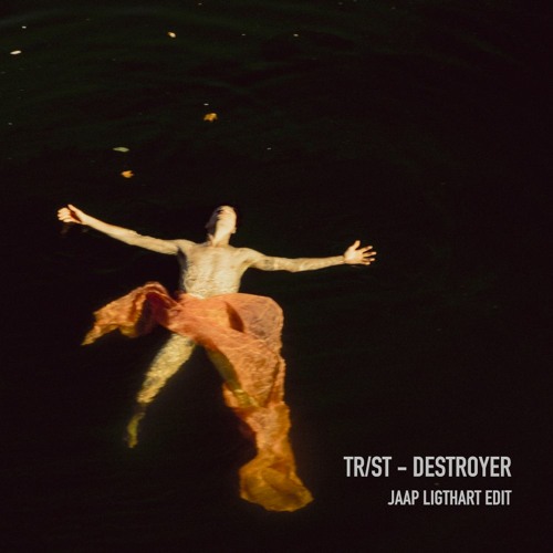 TR ST - Destroyer (Jaap Ligthart Edit)