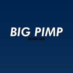 Xevin Gee - Big Pimp
