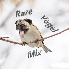Rare Vogel Mix 9 - 11 - 24