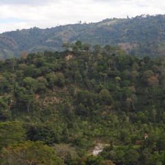Agenda Ambiental 3 Febrero 2024