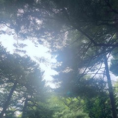 片方だけが燃えている／ueil cover