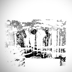 Live test 001