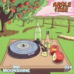 014 - Mr Moonshine