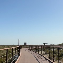 محمد عبده - ياشايل الظبي  جلسة المغرب تسجيل نادر