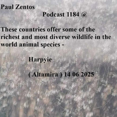 Paul Zentos Podcast 1184 @ These countries offer some of the richest and most diverse wildlife in the world animal species - Harpyie ( Altamira ) 14 06 2025