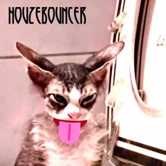 HouzeBouncer