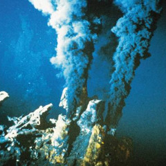 Dense dronopzébuthienne alglogoruthmique de Pondigorie Atlandide