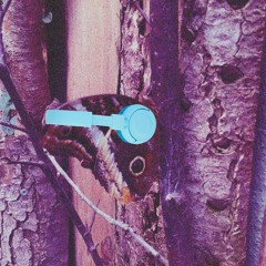 P. Drumbreak - Medicine