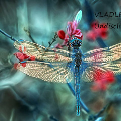 Undiscloseds