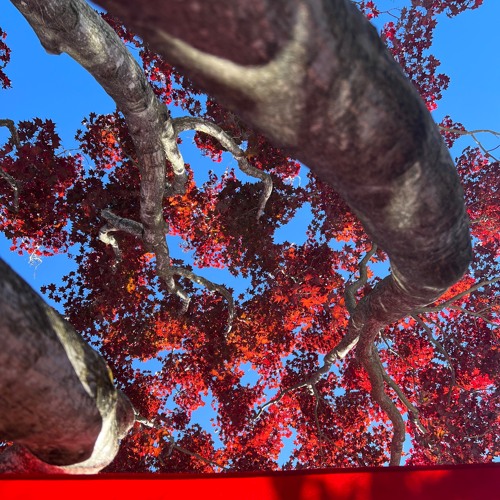 Meant to be FT. CUB (demo)