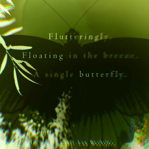 Flutteringly Floating Butterfly[Naviarhaiku350]