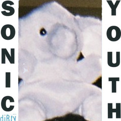 100%/Sonic Youth(band cover)