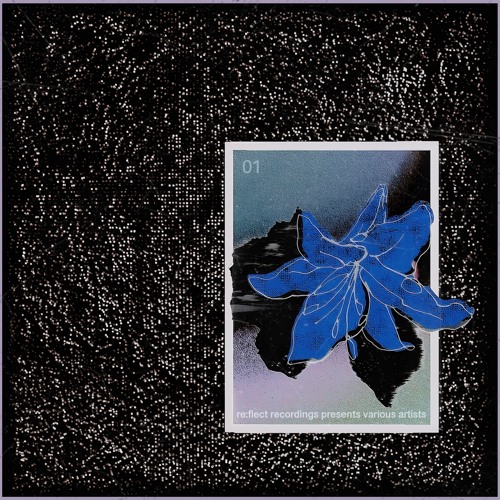 VD PREMIERE | Bekkler - Unreachable | REVA01