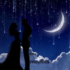 mayflies.