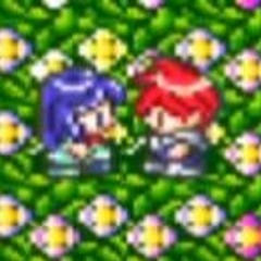 プリフィアの花