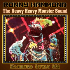 Ronny Hammond - The Heavy Heavy Monster Sound (Hammond Stylo 001)