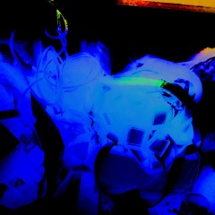 Daily Drop #5112 - Slow Down & Feel The World