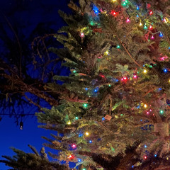 Fucked Up Fuck U (Prod.recycleBin)