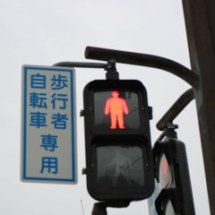 i just threw out the love of my dreams