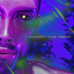 Marry The Night (Lady Gaga Cover)