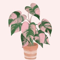 Grow (prod. ThatKidGoran)