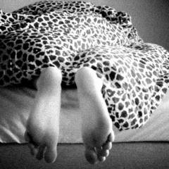 Sonntag im Bett