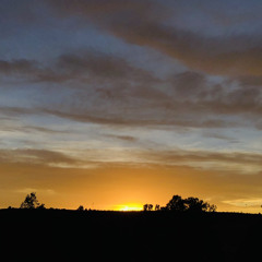 Seth Pahe//Branen Jishie-Oct3,2019 Drumtie