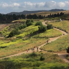 I’m Walking Down The Road