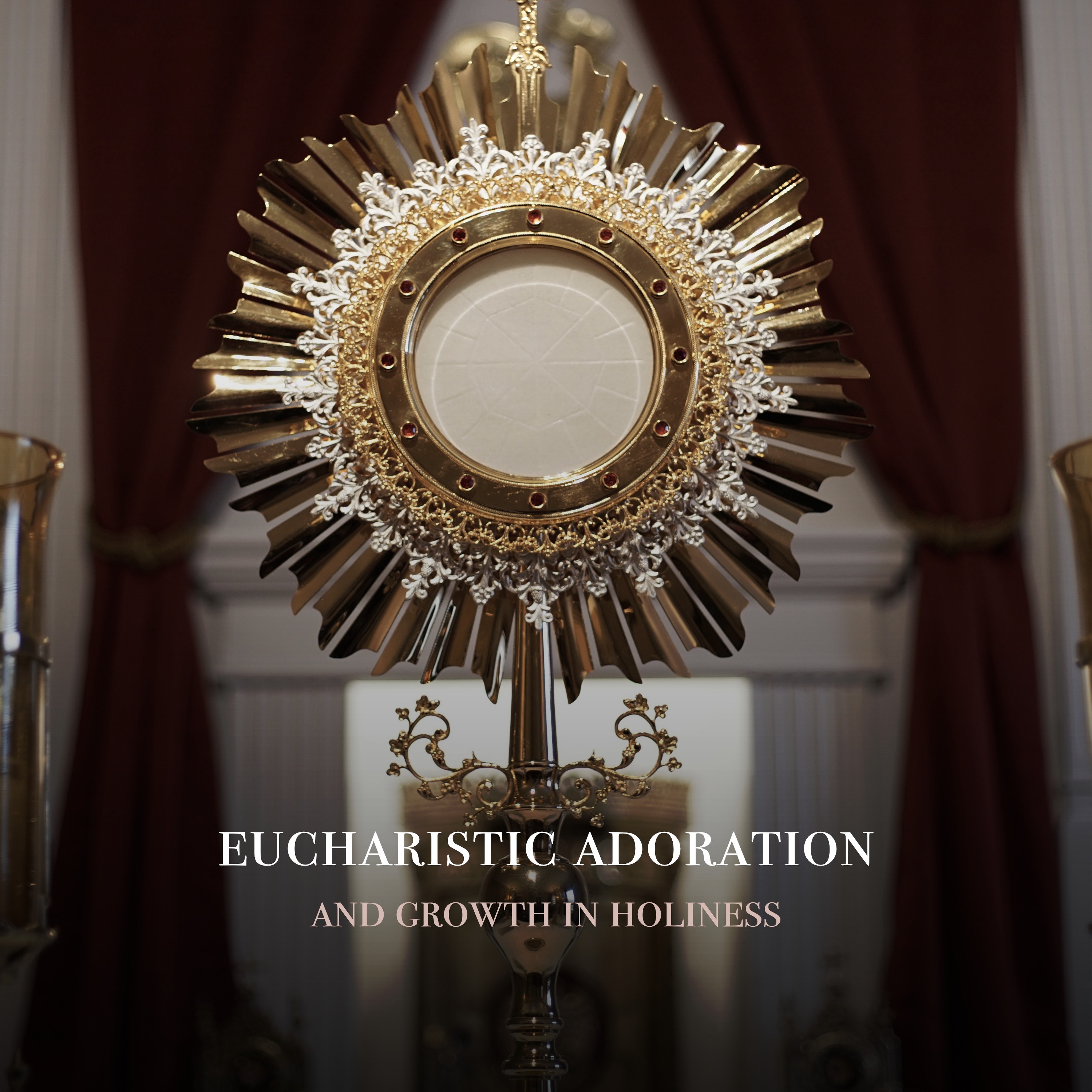 Fr. Barry Braum - Homilies and Conferences