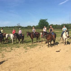 Review Special Price Memphis Horseback Trail Ride Tour