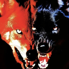 V-TECH (KXXRL B2B  SOMOSA)