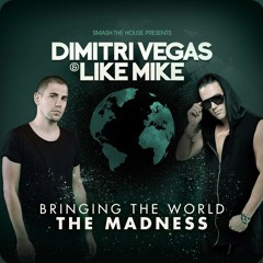 Dimitri Vegas & Like Mike - Bringing The World The Madness 2014