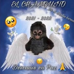in memory of el changuito