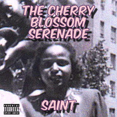 The Cherry Blossom Serenade