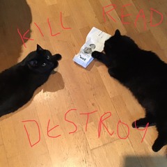 I’m totally not scared of cats