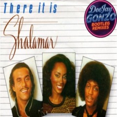 Shalamar - There It Is (DeeJay Gonzo Bootleg Remix)