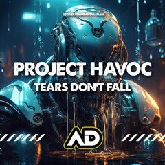 PROJECT HAVOC - TEARS DONT FALL